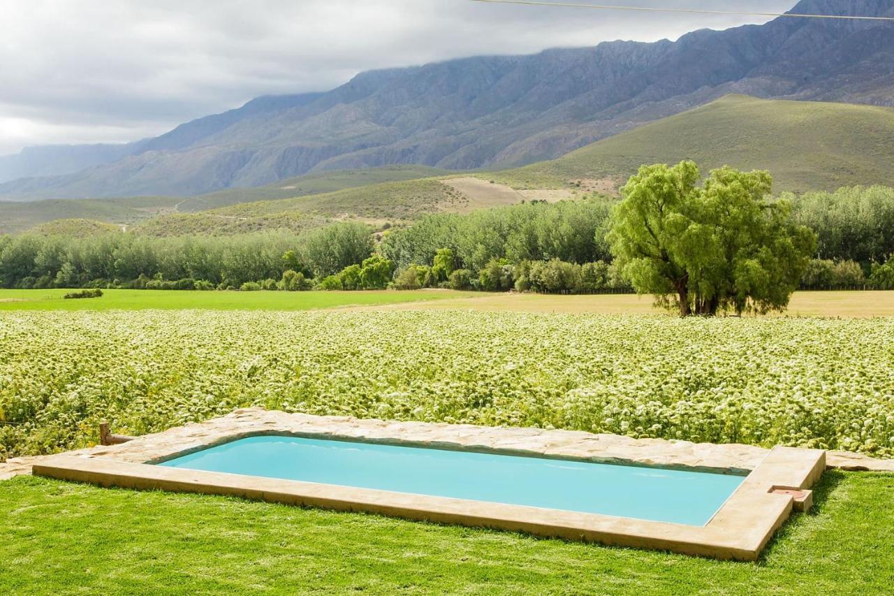 Blue Lily Retreat Matjiesrivier (Garden Route) Exterior foto