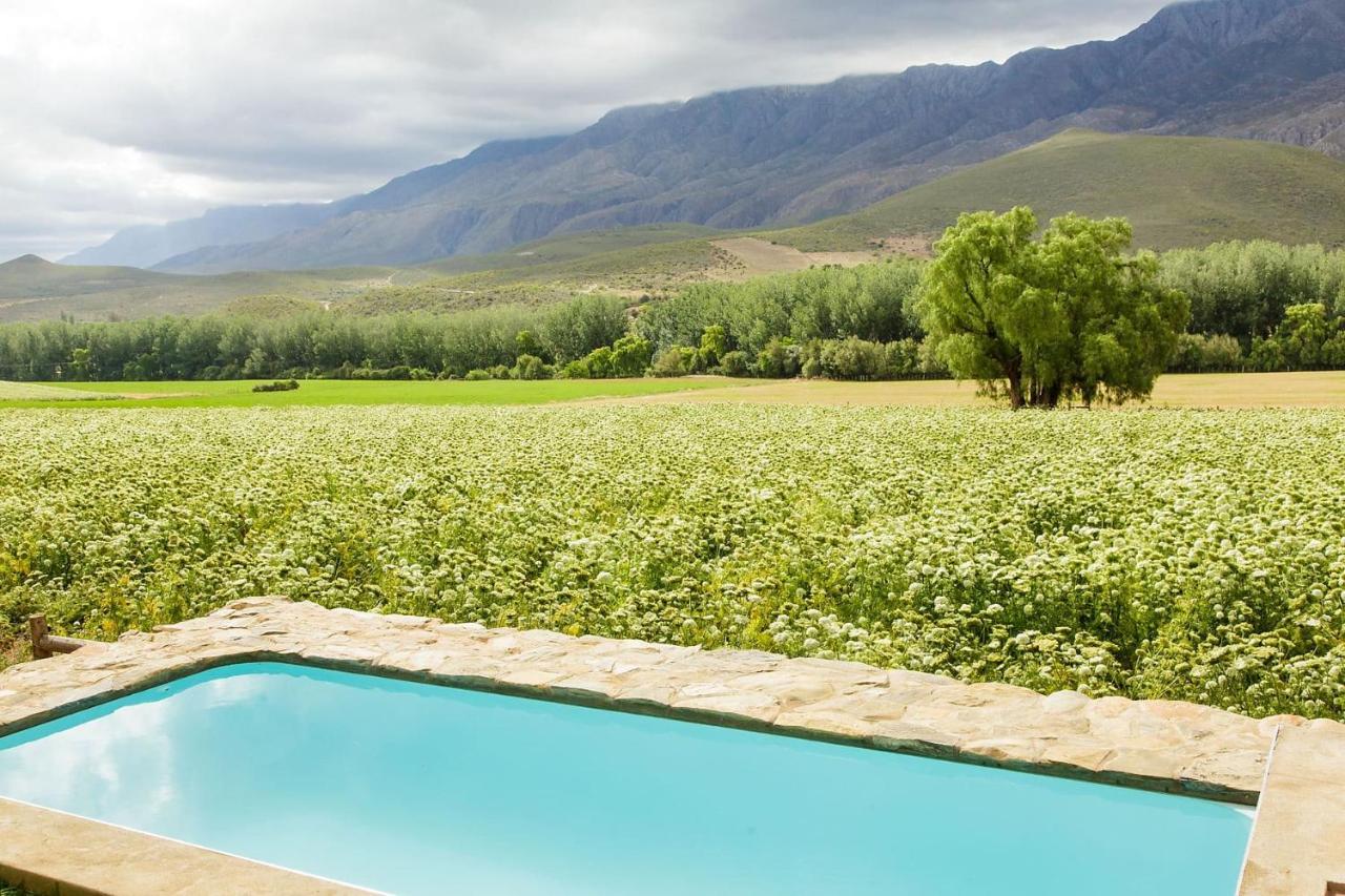 Blue Lily Retreat Matjiesrivier (Garden Route) Exterior foto