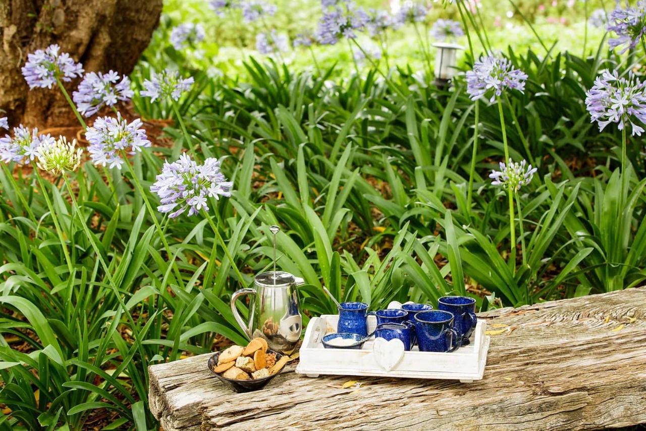 Blue Lily Retreat Matjiesrivier (Garden Route) Exterior foto