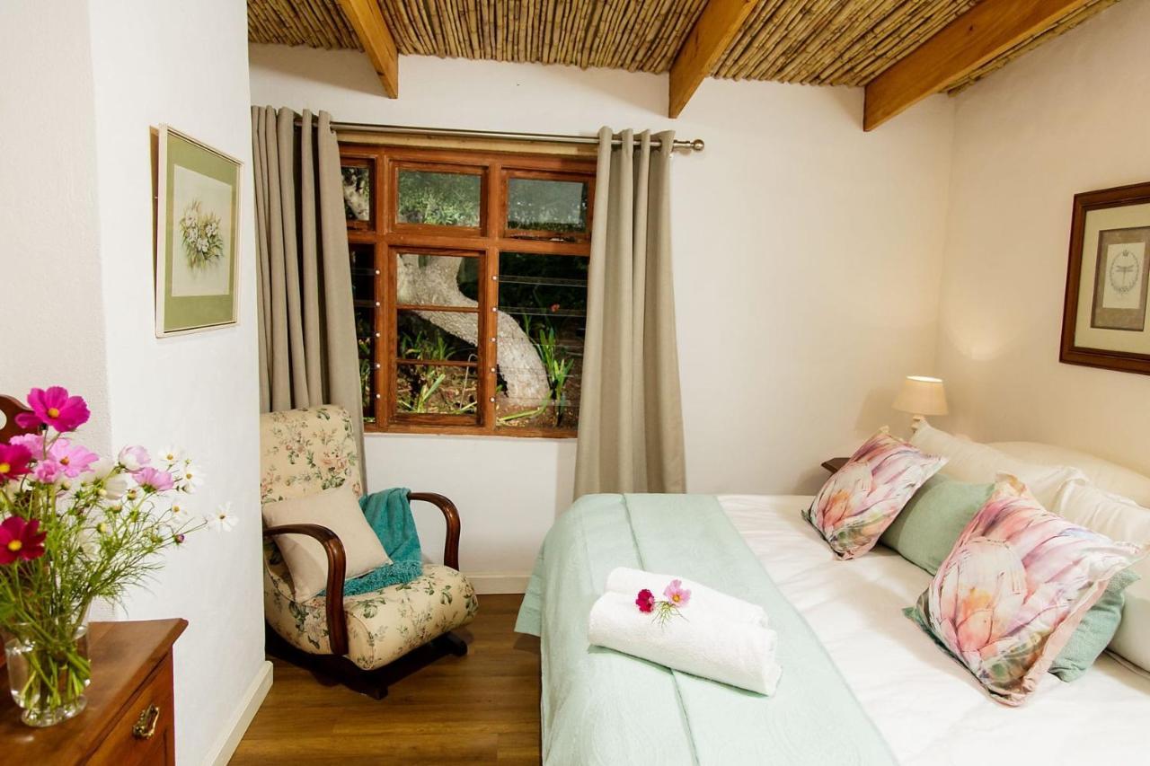 Blue Lily Retreat Matjiesrivier (Garden Route) Exterior foto