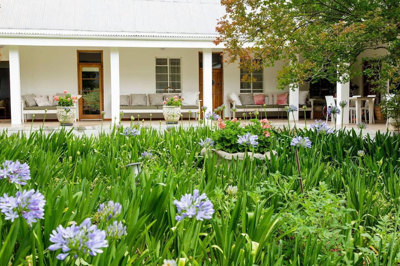 Blue Lily Retreat Matjiesrivier (Garden Route) Exterior foto