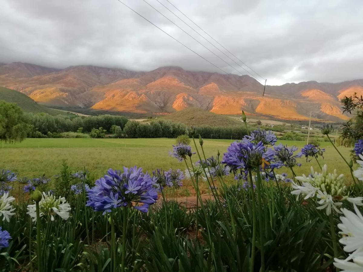 Blue Lily Retreat Matjiesrivier (Garden Route) Exterior foto