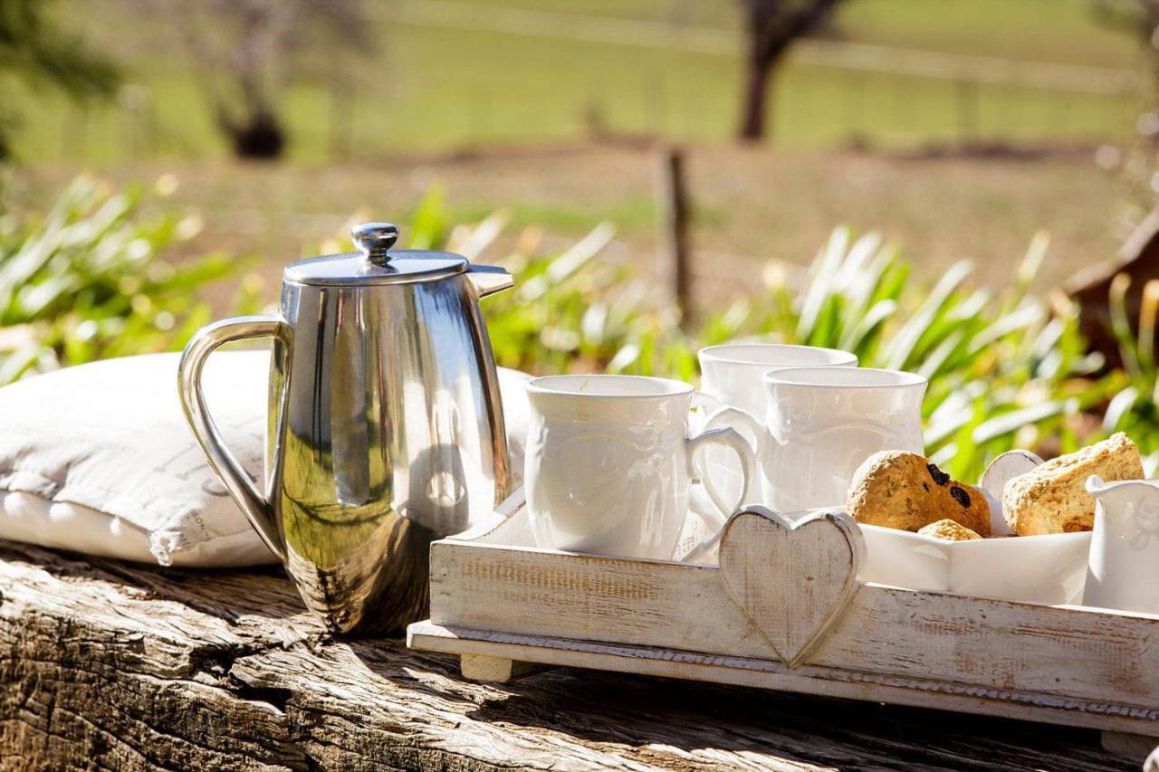 Blue Lily Retreat Matjiesrivier (Garden Route) Exterior foto